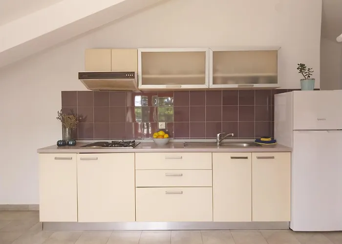 Apartments Miodrag